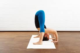 variazione prasarita padottanasana posizioni yoga asana