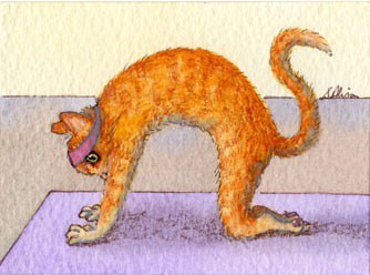 Come fare Marjariasana, la posizione del gatto