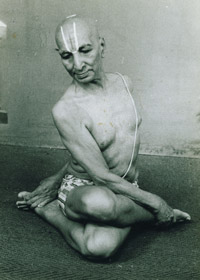 Krishnamacharya autore il nettare dello yoga