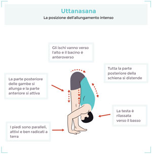 allineamenti uttanasana