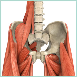 Psoas (ileopsoas), il muscolo dell’anima
