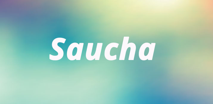 Niyama yoga saucha