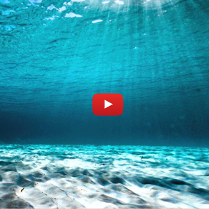 Meditazione dell’acqua